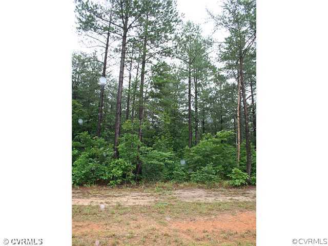 6130 Autumn Bluff Road Powhatan, VA 23139 - Photo 5 of 6 Land - Lot has conventional perk site