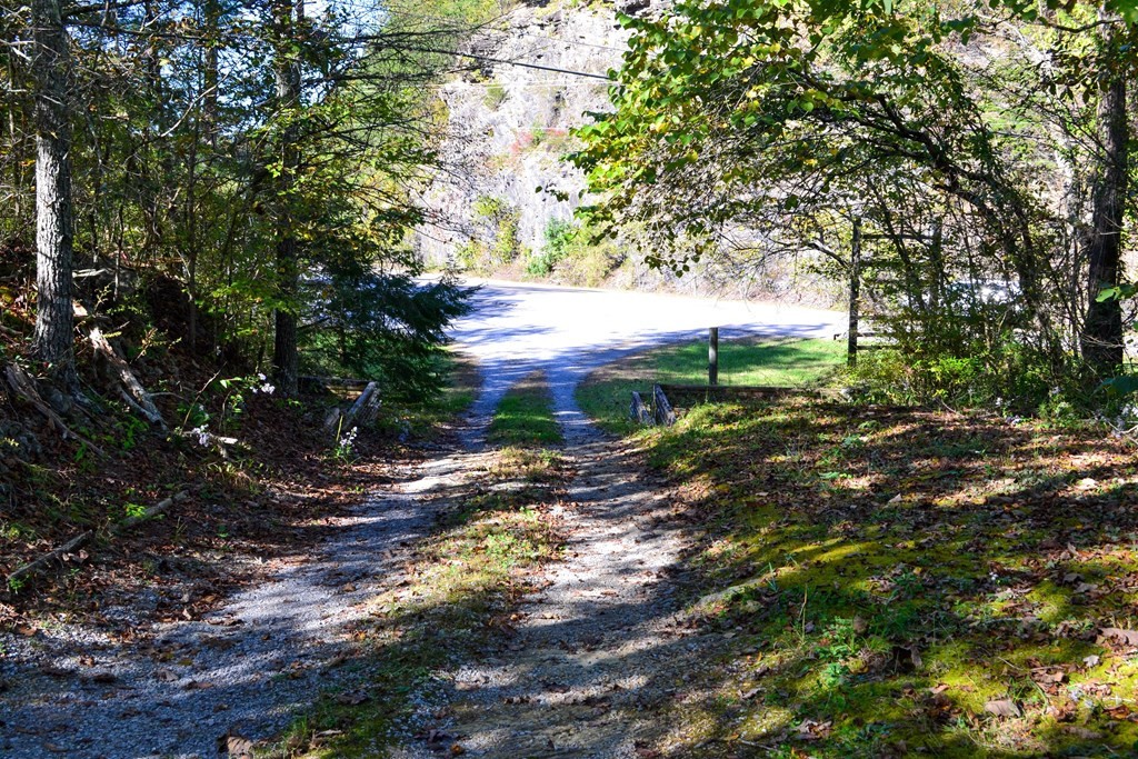 1902 Wears Valley Road Sevierville, TN 37862 - Photo 7 of 48 Gallery Image 7