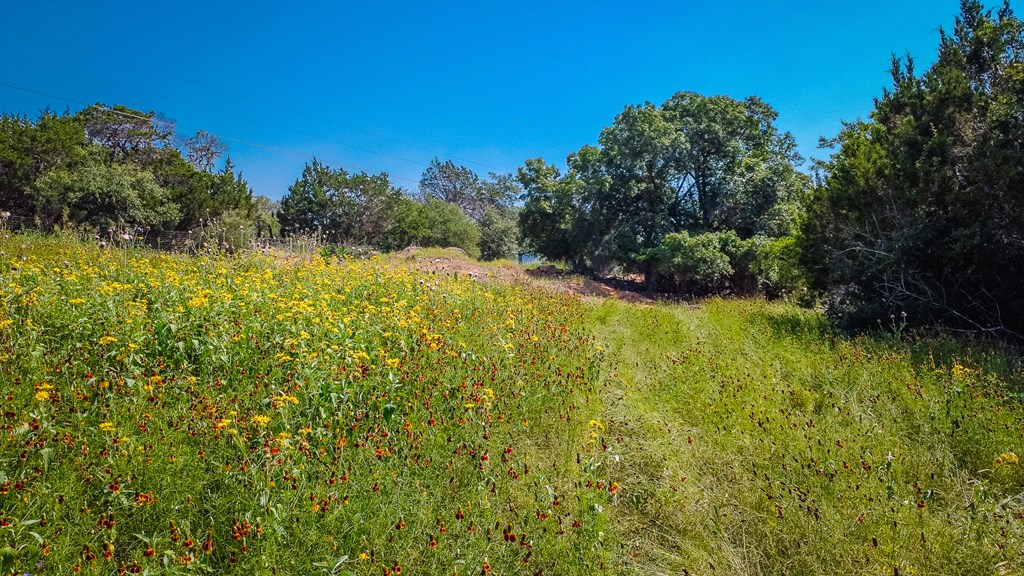 17839 Highway 16 Medina, TX 78055 - Photo 8 of 8 a view of lake view and mountain view