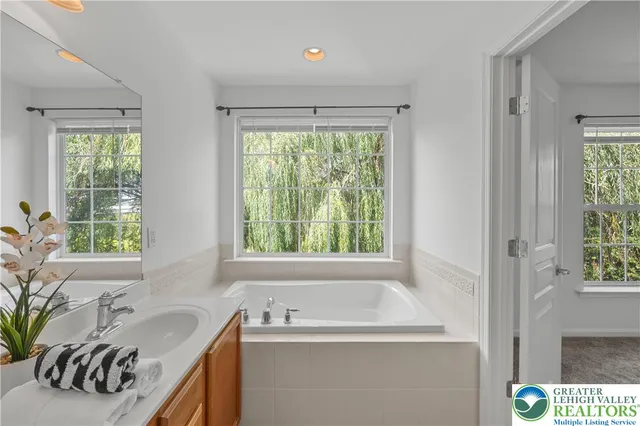 a bathroom with a sink and a bathtub