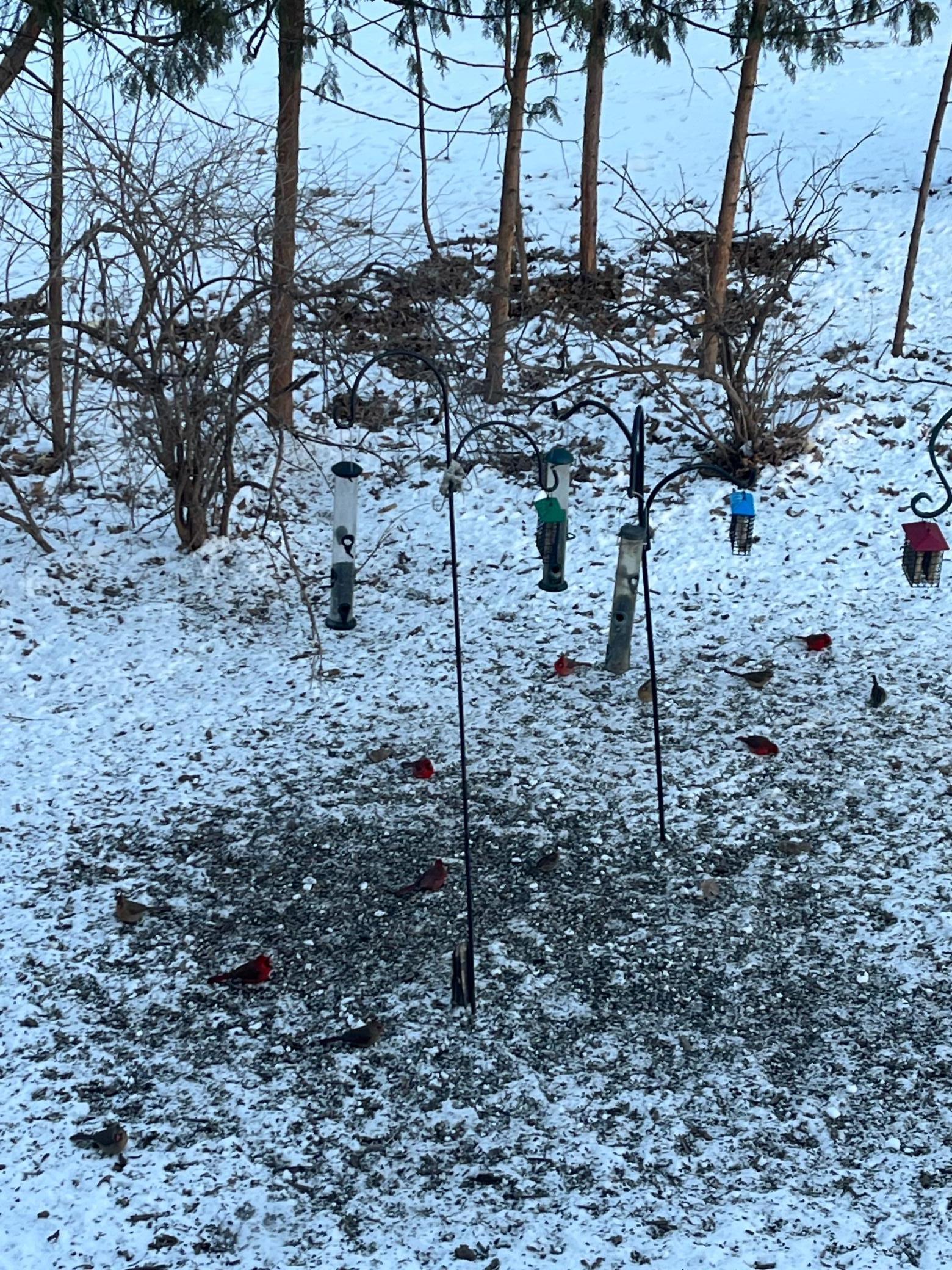 1135 1st Street Northwest Oronoco, MN 55960 - Photo 53 of 63