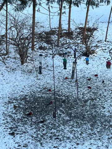 $499,900 | 1135 1st Street Northwest, Oronoco, MN 55960