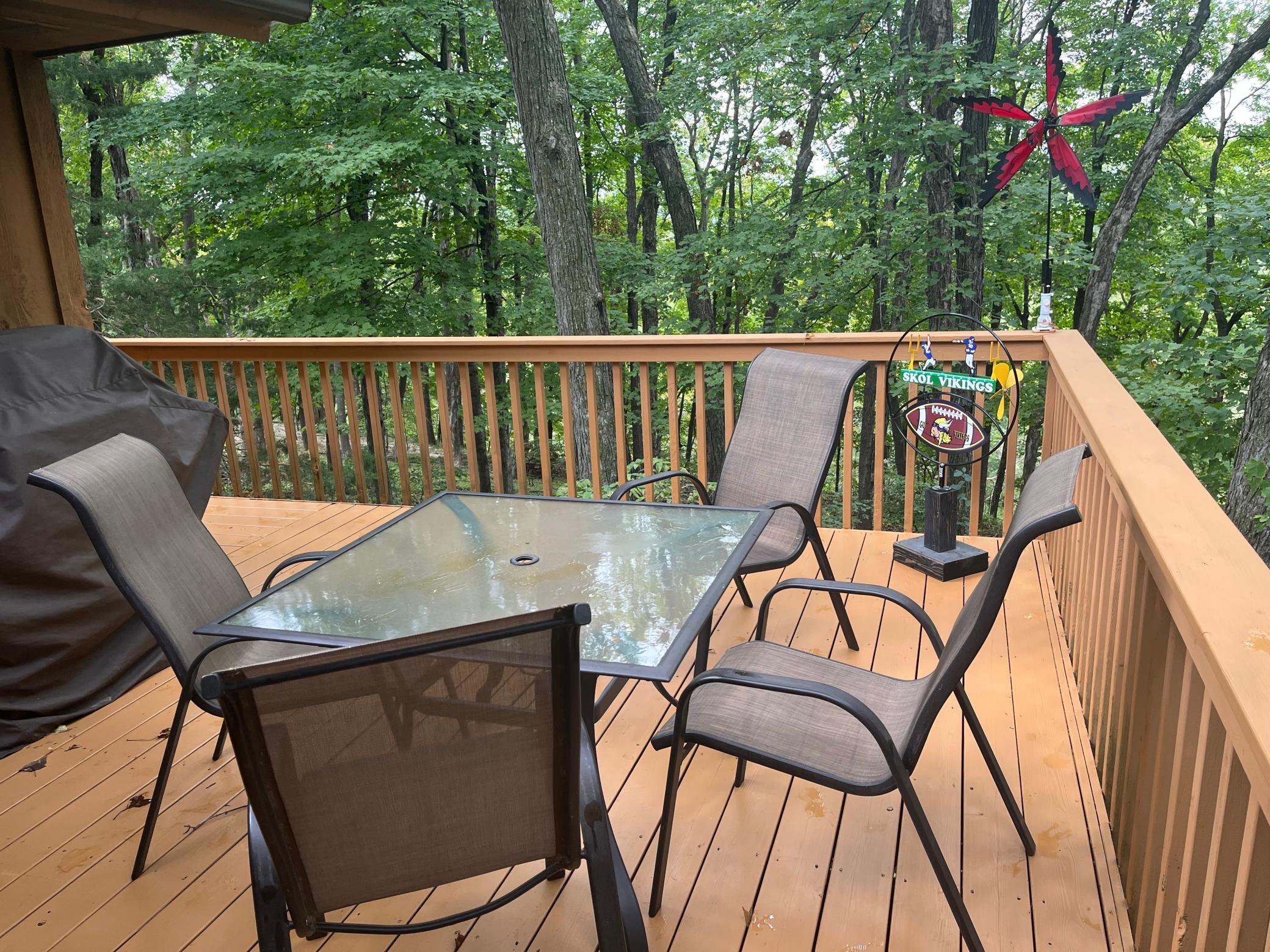 1135 1st Street Northwest Oronoco, MN 55960 - Photo 55 of 58