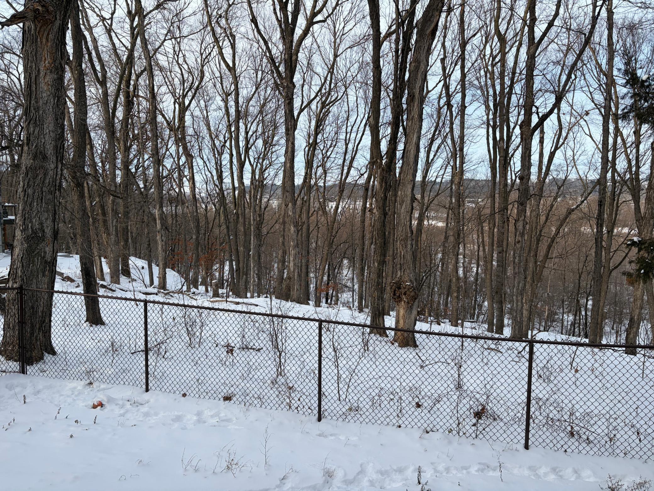 1135 1st Street Northwest Oronoco, MN 55960 - Photo 56 of 63