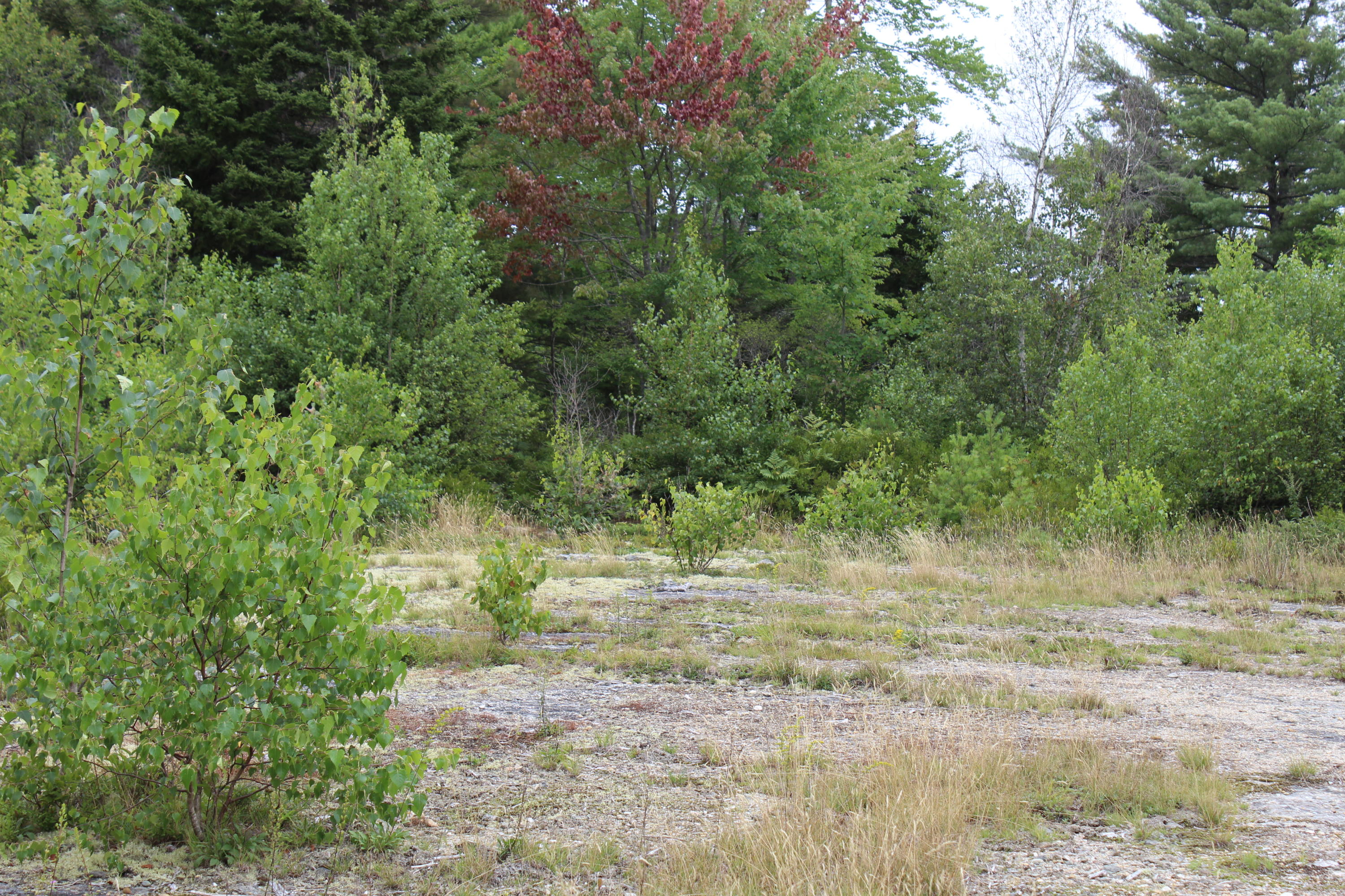 589 Reach Road Brooklin, ME 04616 - Photo 7 of 9 IMG_3833
