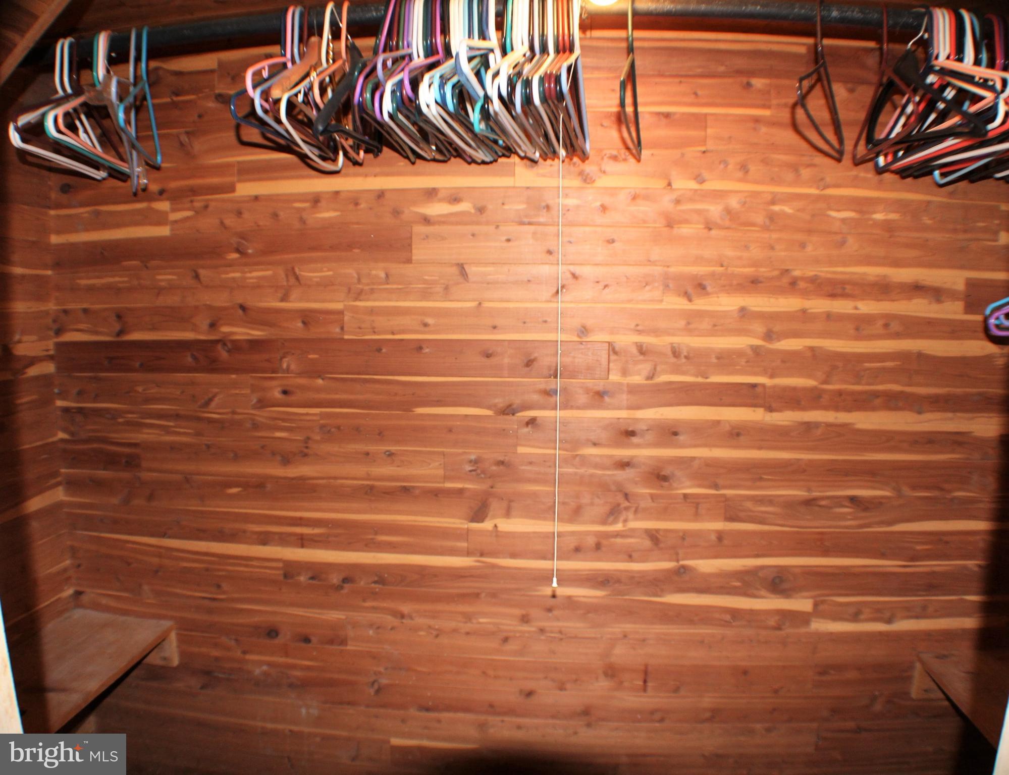 533 Elford Road Fairless Hills, PA 19030 - Photo 28 of 37 Cedar Closet in Basement