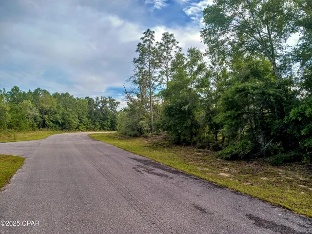$13,500 | Lot 19 Velvet Drive, Chipley, FL 32428