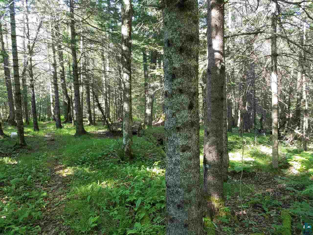 1105 Wales Road Two Harbors, MN 55616 - Photo 13 of 13 Gallery Image 13
