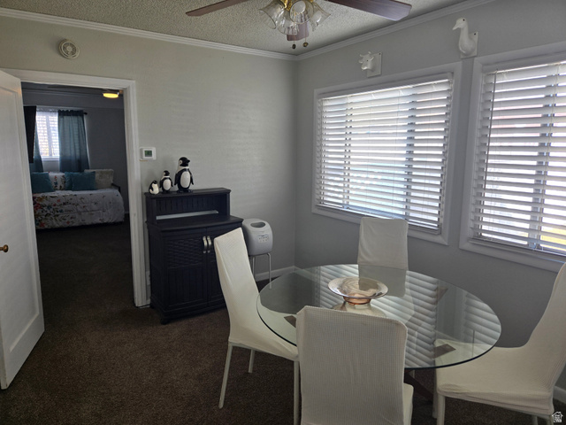 250 West 200 N Street Beaver, UT 84713 - Photo 9 of 63
