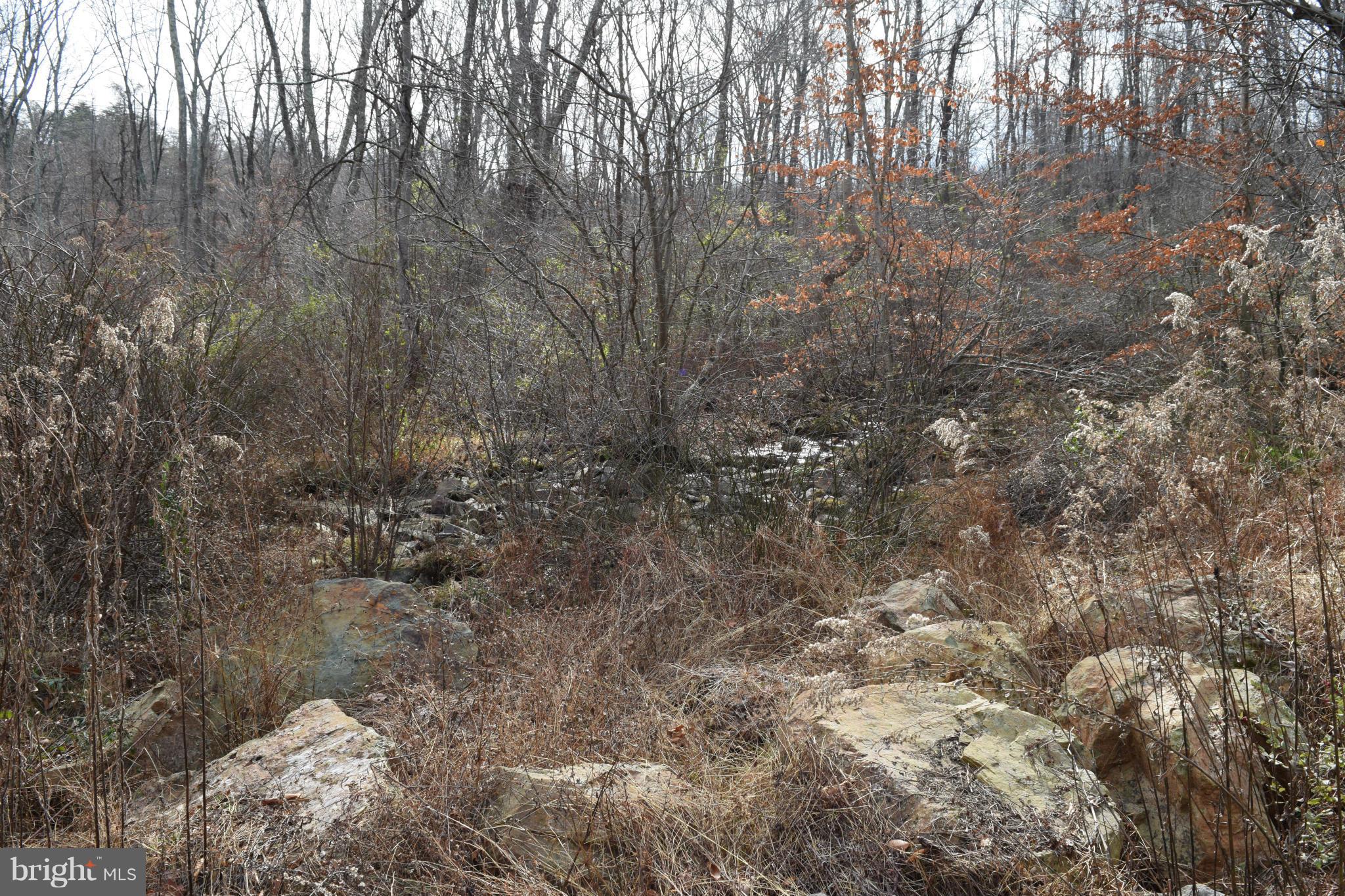 0 Grassland Road Linden, VA 22642 - Photo 14 of 30 Natural Stream