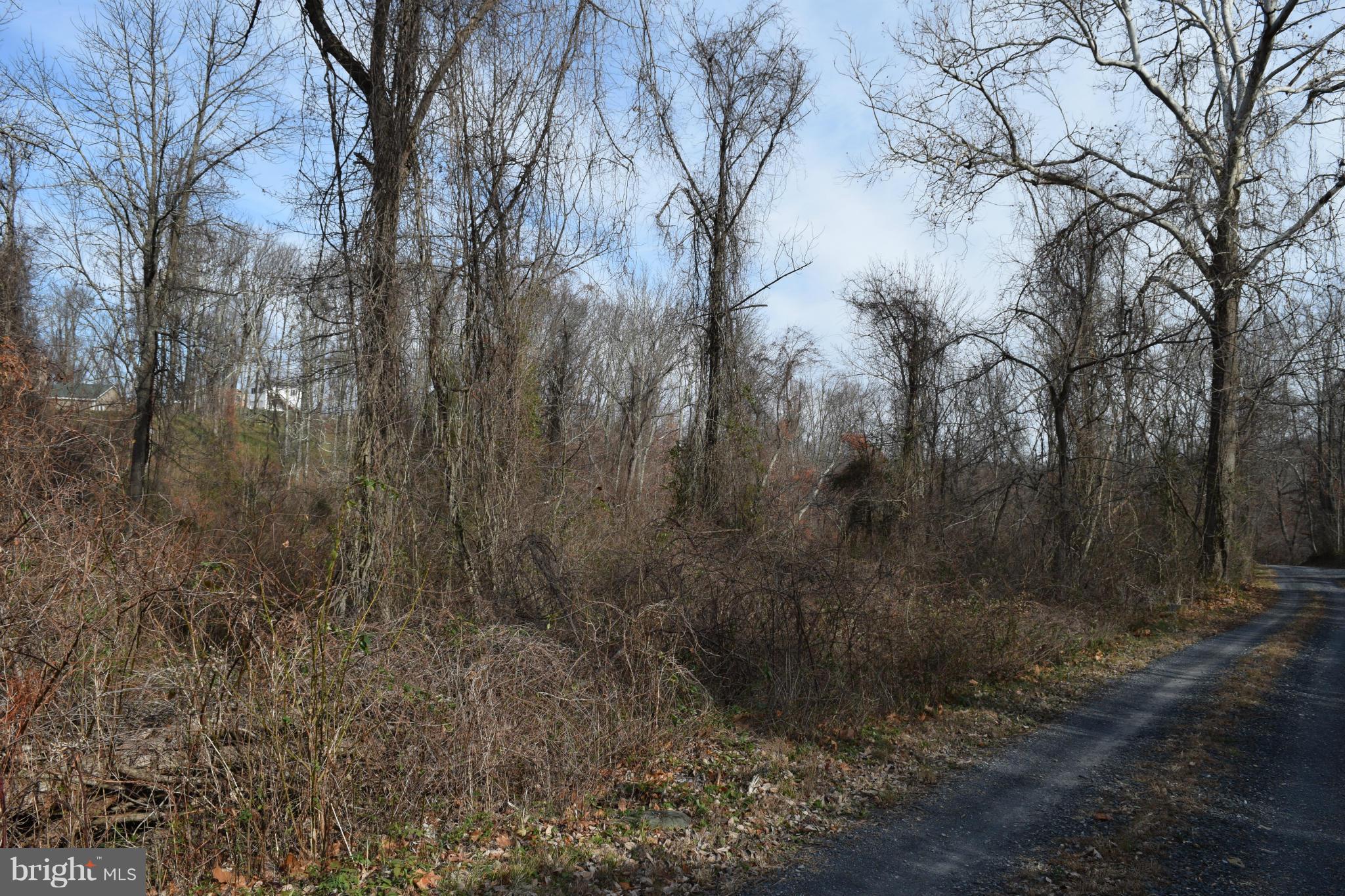 0 Grassland Road Linden, VA 22642 - Photo 23 of 30 Grassland Rd