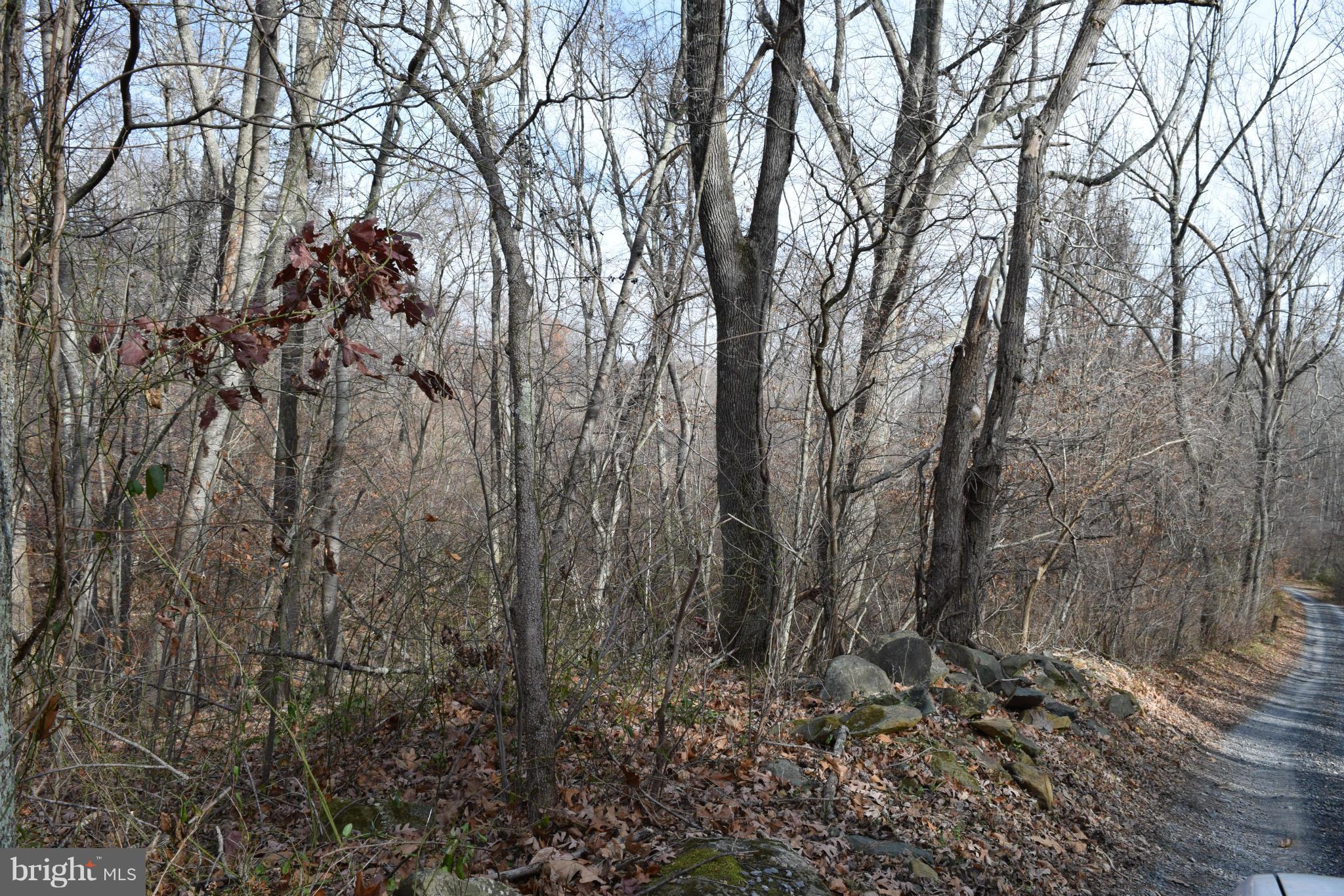 Back Side of Property