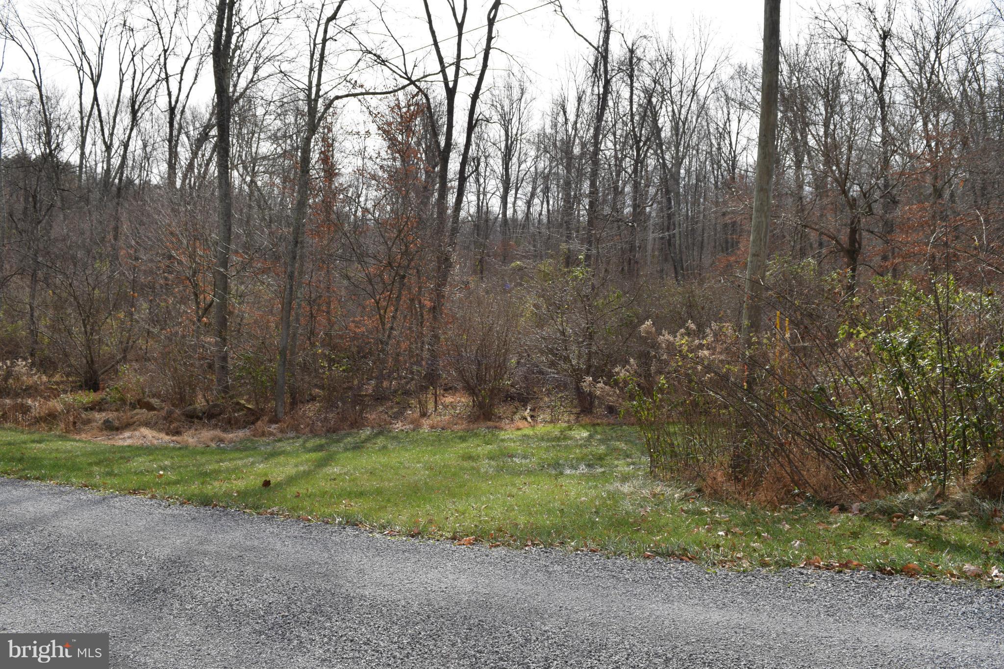 0 Grassland Road Linden, VA 22642 - Photo 10 of 30 View