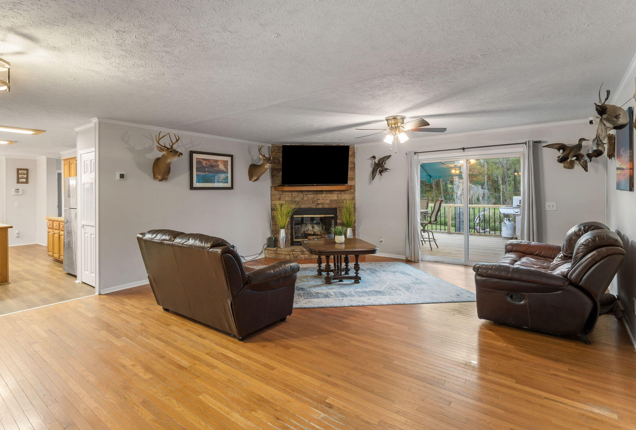 7672 Toogoodoo Road Meggett, SC 29449 - Photo 8 of 42 Living space