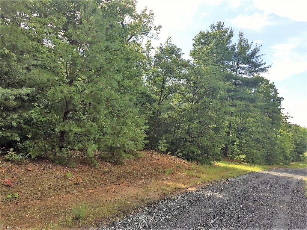 Lot 111 Pepper Bush Road Purlear, NC 28665 - Photo 1 of 10