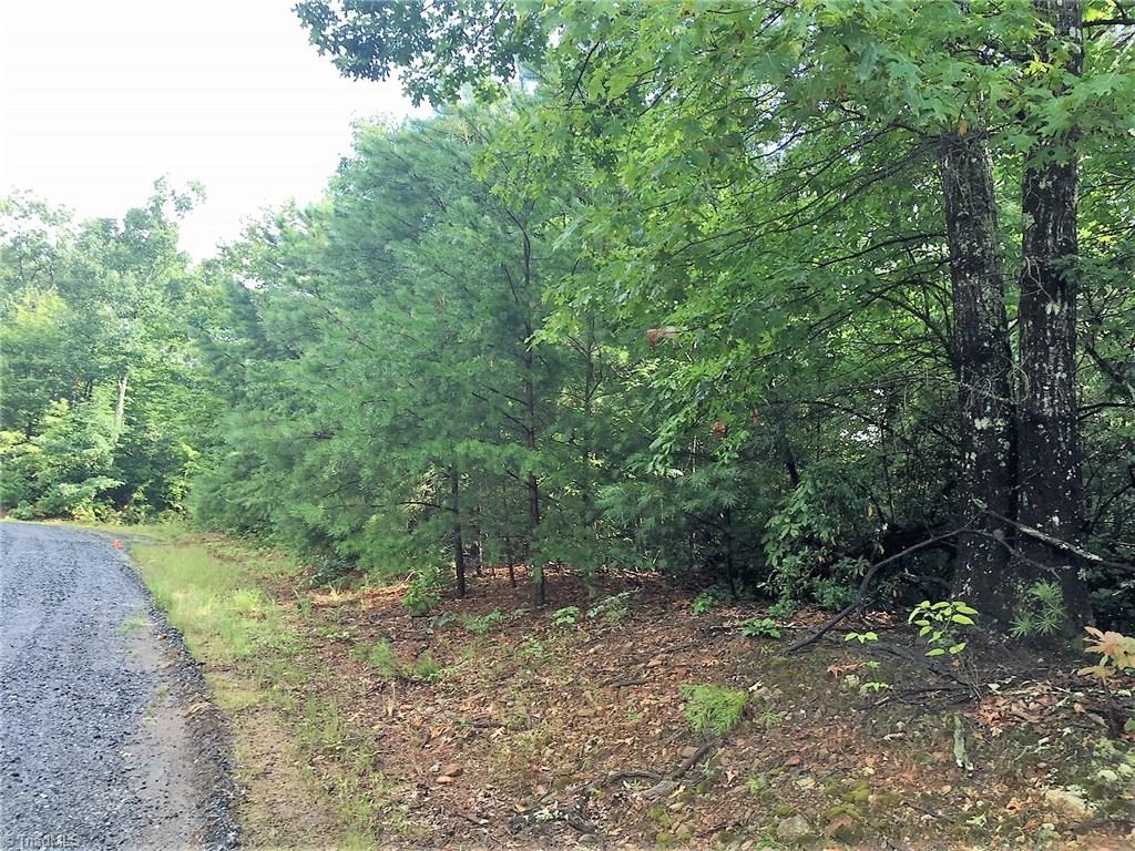 Lot 111 Pepper Bush Road Purlear, NC 28665 - Photo 2 of 10