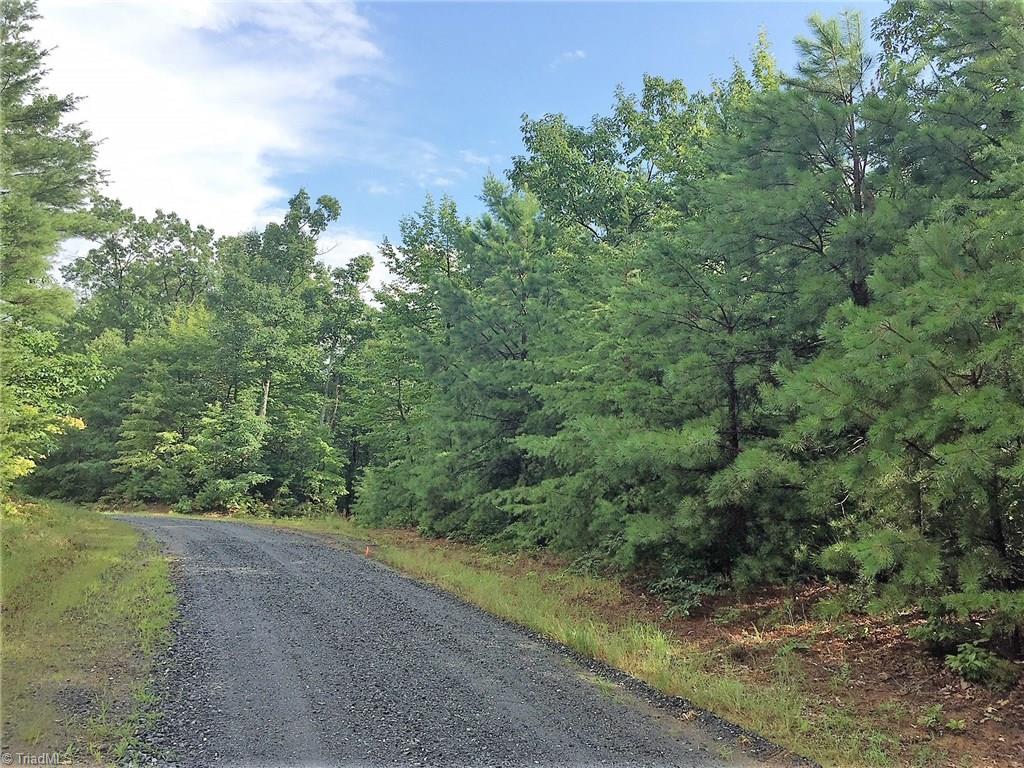 Lot 111 Pepper Bush Road Purlear, NC 28665 - Photo 3 of 10