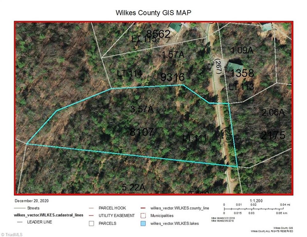Lot 111 Pepper Bush Road Purlear, NC 28665 - Photo 4 of 10