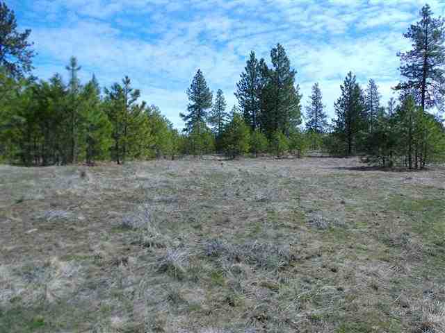 170000 West Bobwhite Road Cheney, WA 99004 - Photo 1 of 20