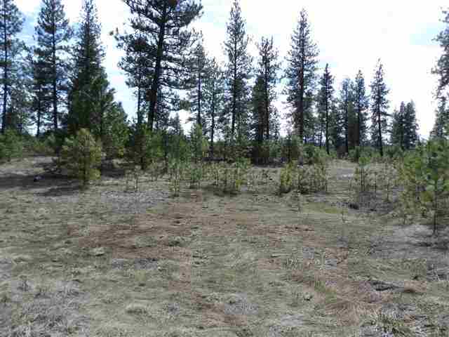 170000 West Bobwhite Road Cheney, WA 99004 - Photo 2 of 20