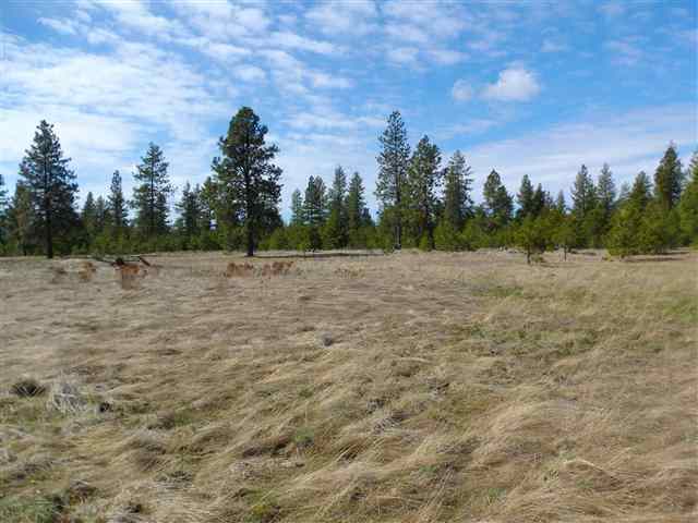 170000 West Bobwhite Road Cheney, WA 99004 - Photo 11 of 20