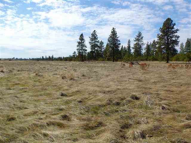 170000 West Bobwhite Road Cheney, WA 99004 - Photo 12 of 20
