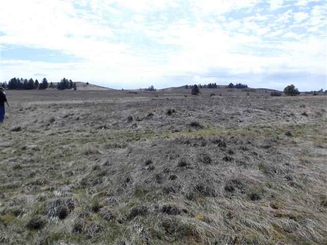 170000 West Bobwhite Road Cheney, WA 99004 - Photo 13 of 20