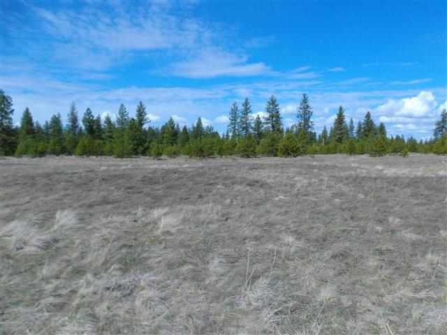 170000 West Bobwhite Road Cheney, WA 99004 - Photo 14 of 20