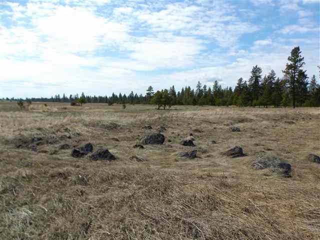 170000 West Bobwhite Road Cheney, WA 99004 - Photo 15 of 20