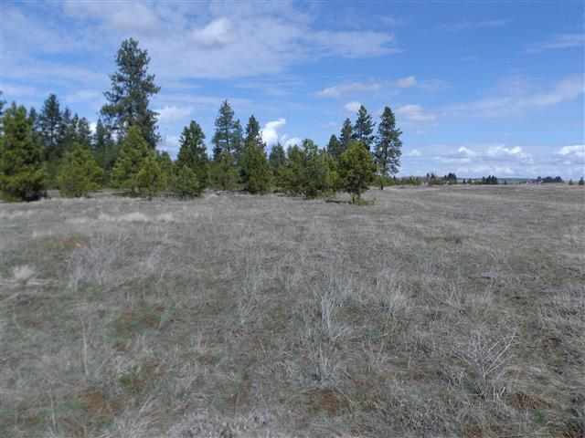 170000 West Bobwhite Road Cheney, WA 99004 - Photo 16 of 20
