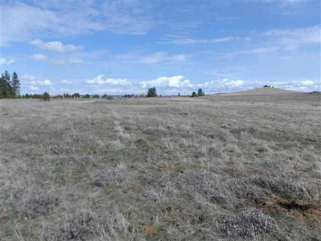 170000 West Bobwhite Road Cheney, WA 99004 - Photo 17 of 20