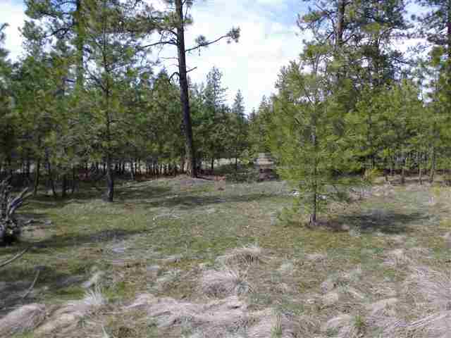 170000 West Bobwhite Road Cheney, WA 99004 - Photo 18 of 20