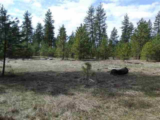 170000 West Bobwhite Road Cheney, WA 99004 - Photo 19 of 20