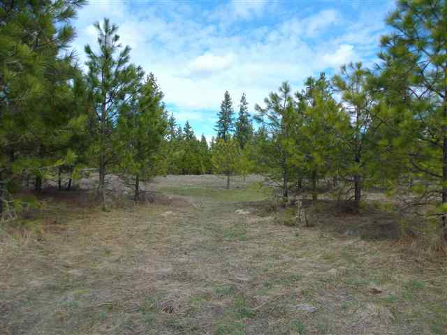 170000 West Bobwhite Road Cheney, WA 99004 - Photo 20 of 20