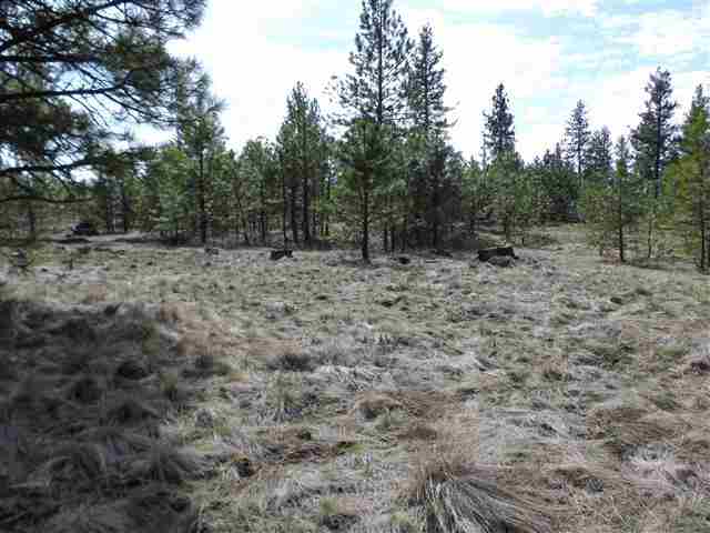 170000 West Bobwhite Road Cheney, WA 99004 - Photo 3 of 20
