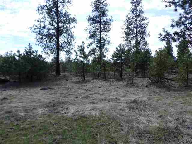 170000 West Bobwhite Road Cheney, WA 99004 - Photo 4 of 20