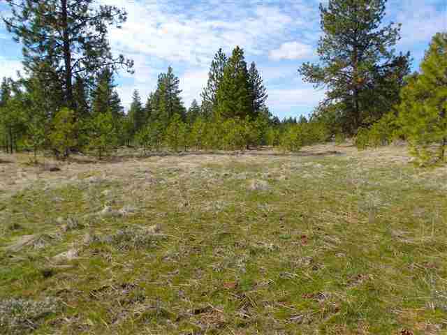 170000 West Bobwhite Road Cheney, WA 99004 - Photo 5 of 20