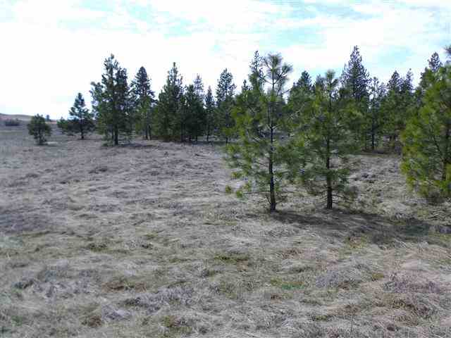 170000 West Bobwhite Road Cheney, WA 99004 - Photo 6 of 20