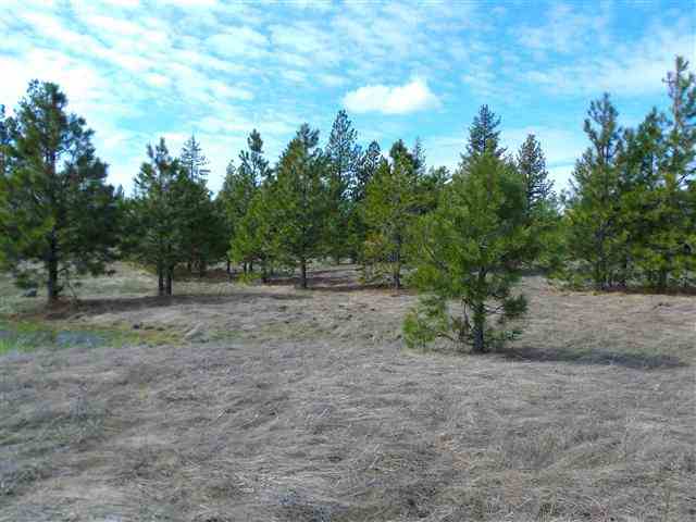170000 West Bobwhite Road Cheney, WA 99004 - Photo 8 of 20