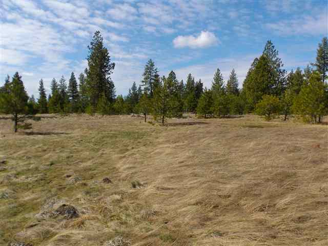 170000 West Bobwhite Road Cheney, WA 99004 - Photo 9 of 20