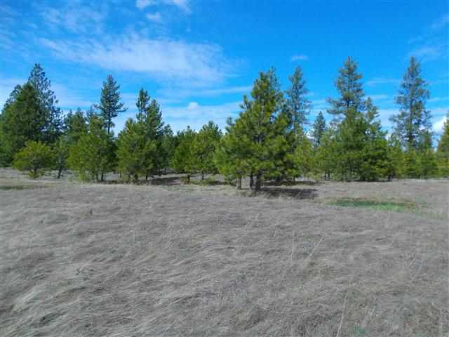 170000 West Bobwhite Road Cheney, WA 99004 - Photo 10 of 20