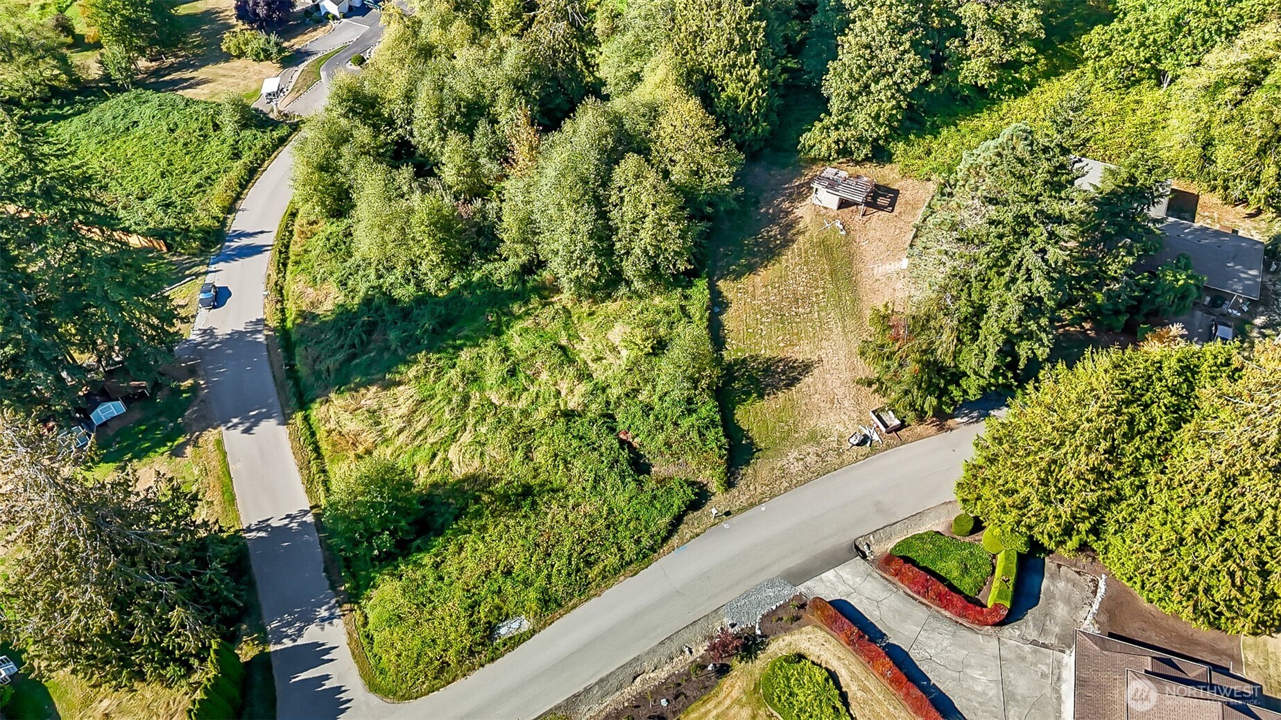 a view of a lot of flowers and trees