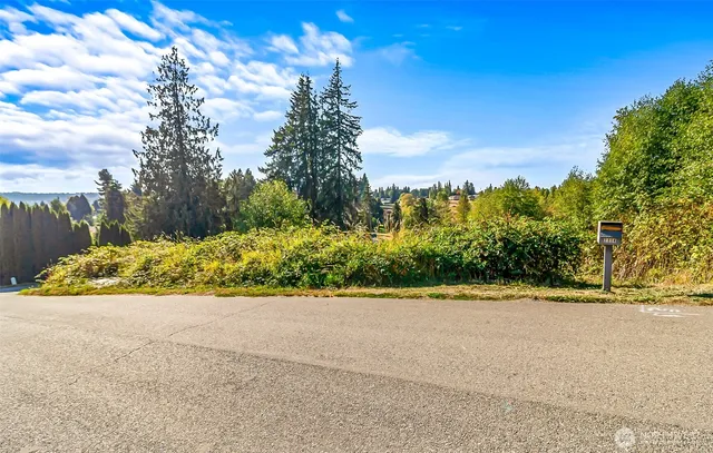 a view of a garden with an empty space