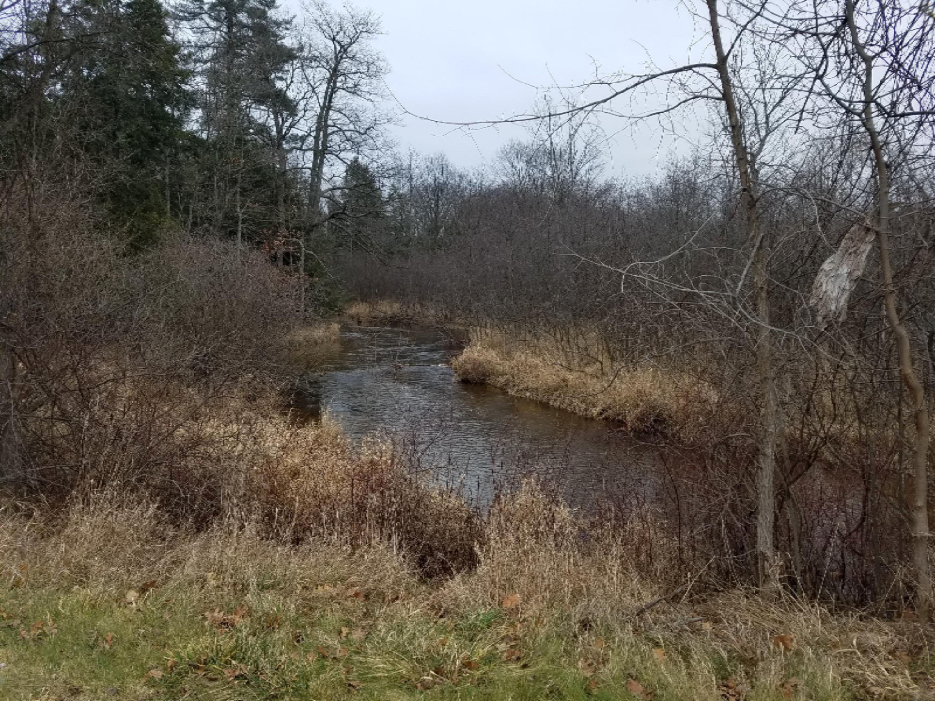 20171206_101956