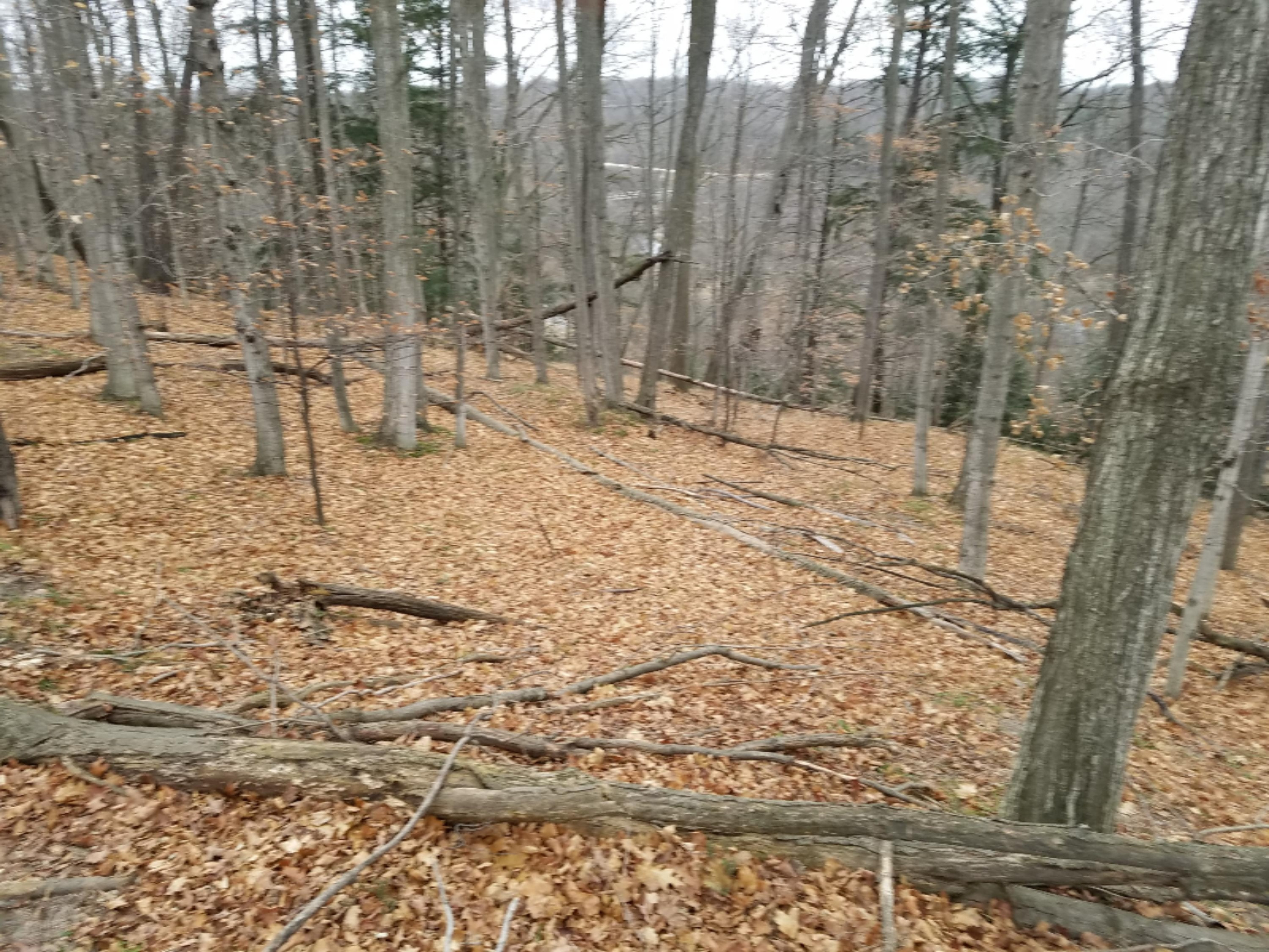 West Free Soil Road Free Soil, MI 49411 - Photo 14 of 35 20171206_103113_026