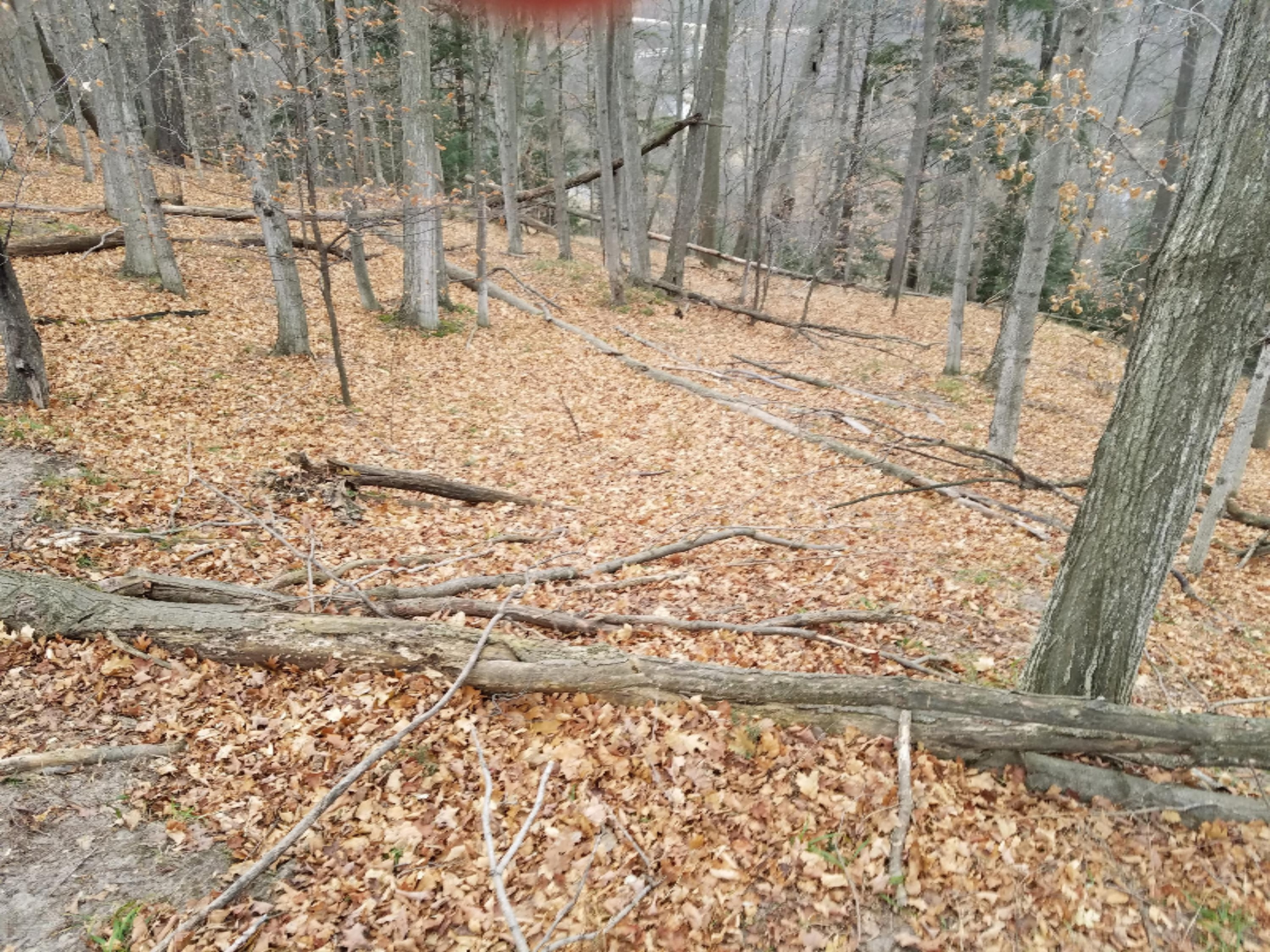 West Free Soil Road Free Soil, MI 49411 - Photo 15 of 35 20171206_103113_048