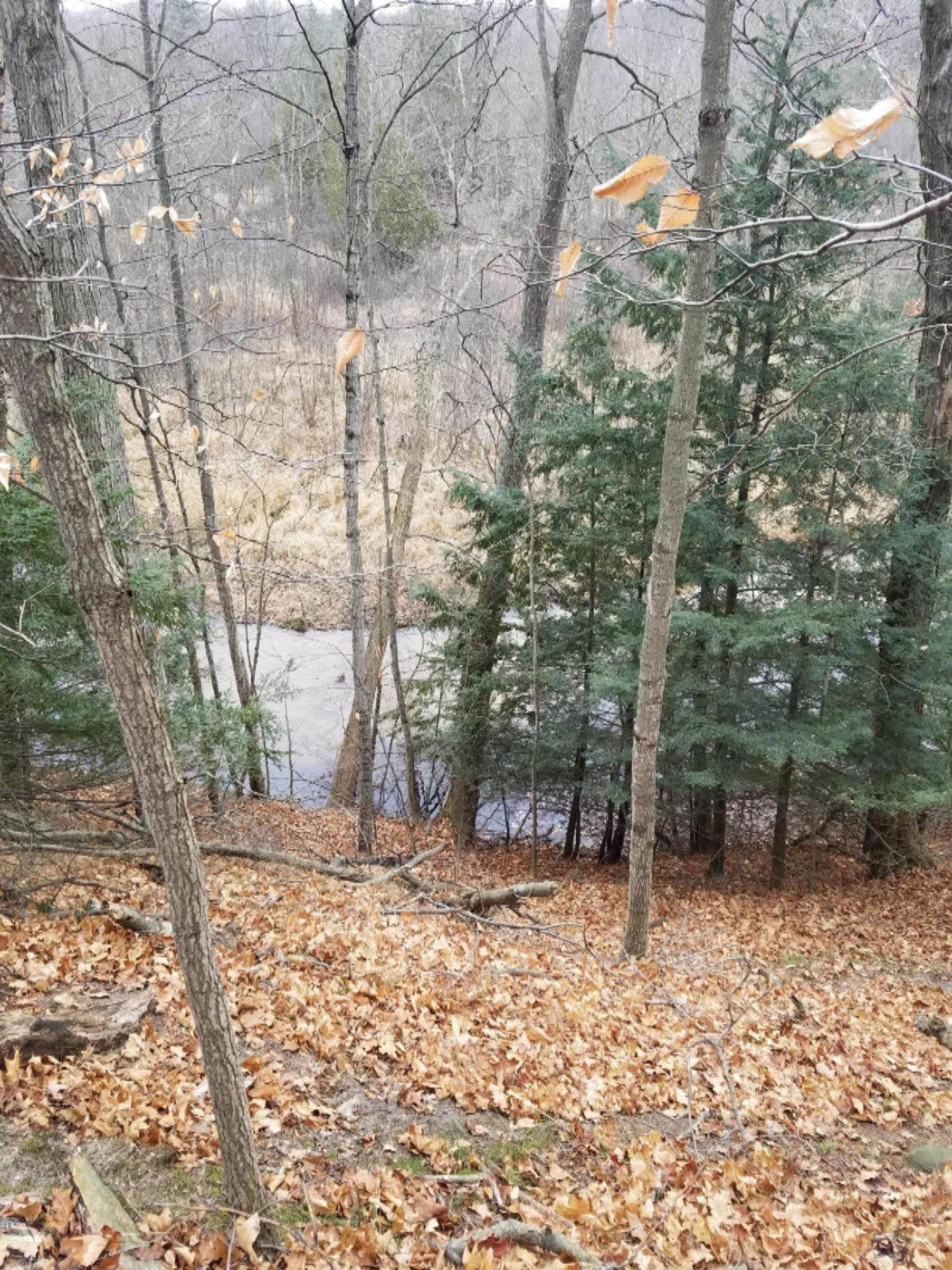 West Free Soil Road Free Soil, MI 49411 - Photo 17 of 35 20171206_103310