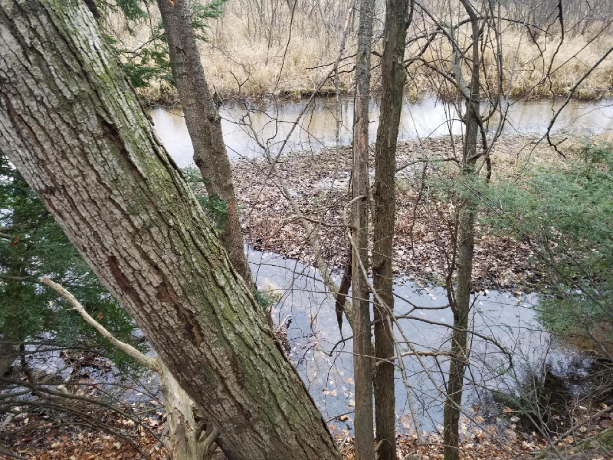 West Free Soil Road Free Soil, MI 49411 - Photo 21 of 35 20171206_103529