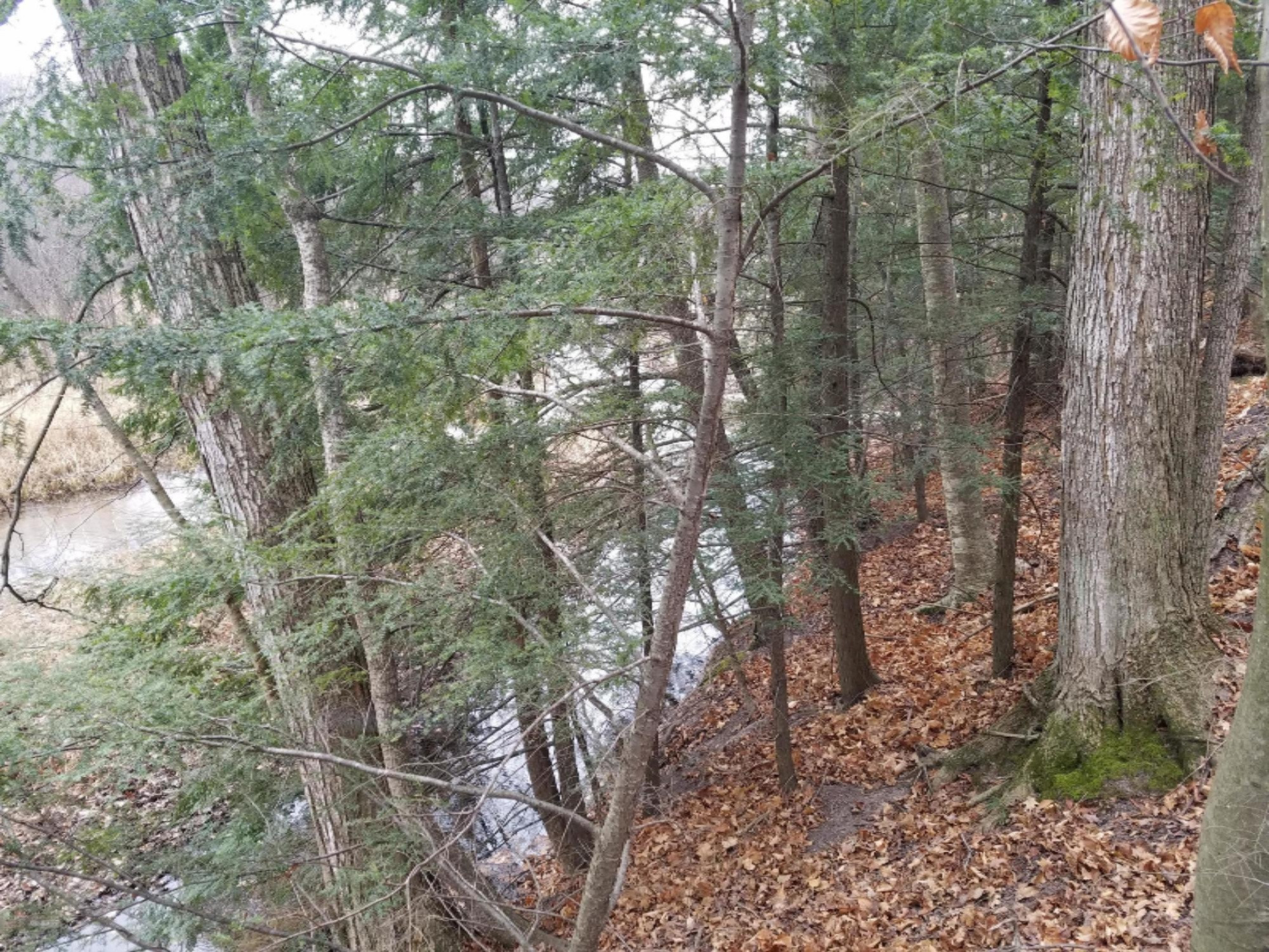 West Free Soil Road Free Soil, MI 49411 - Photo 22 of 35 20171206_103535