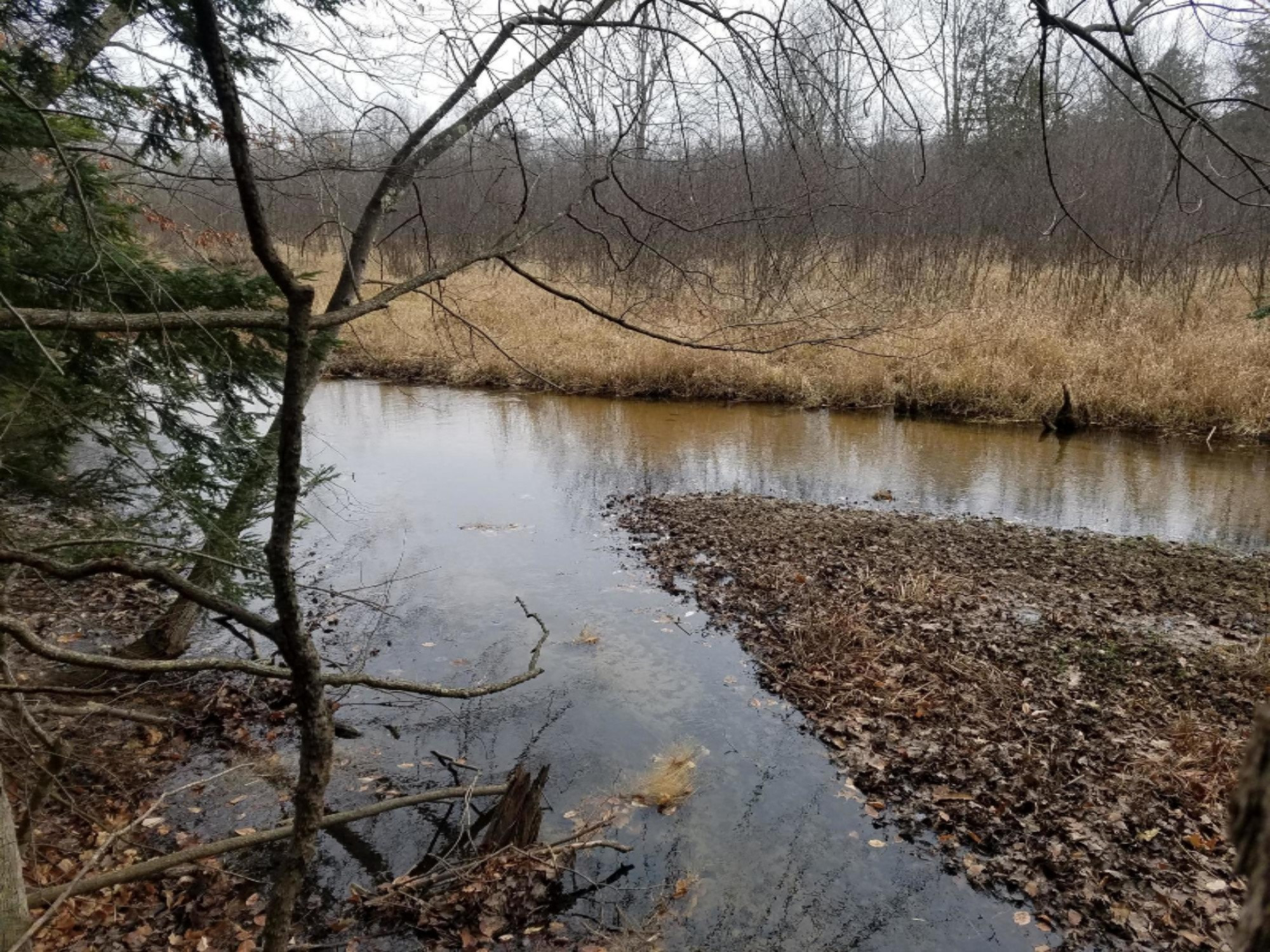 West Free Soil Road Free Soil, MI 49411 - Photo 23 of 35 20171206_103624